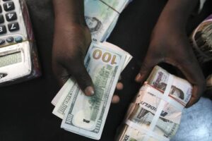 Pay Diaspora remittances in dollar